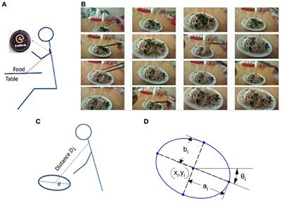 Estimating Dining Plate Size From an Egocentric Image Sequence Without a Fiducial Marker